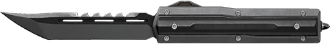 MAXACE Finality