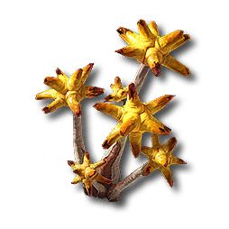 Chrysodendra
