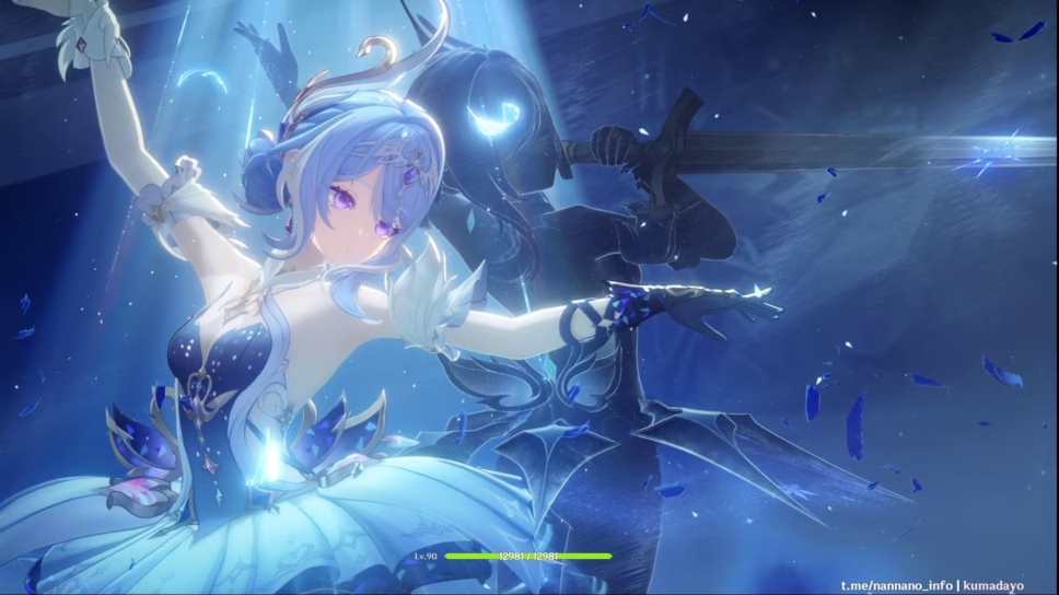 Winter Dream's Echo