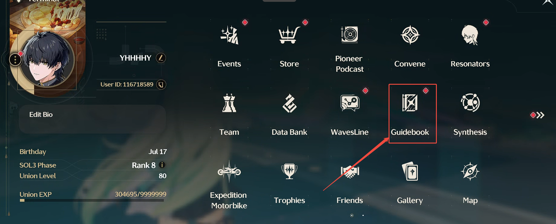Wuthering Waves guidebook