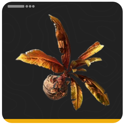 Blighted Jadeleaf