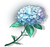 Summer Flower