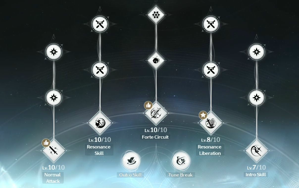 Wuthering Waves Character Build 