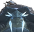 Bell Borne Geochelone