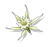 Blade Blossom