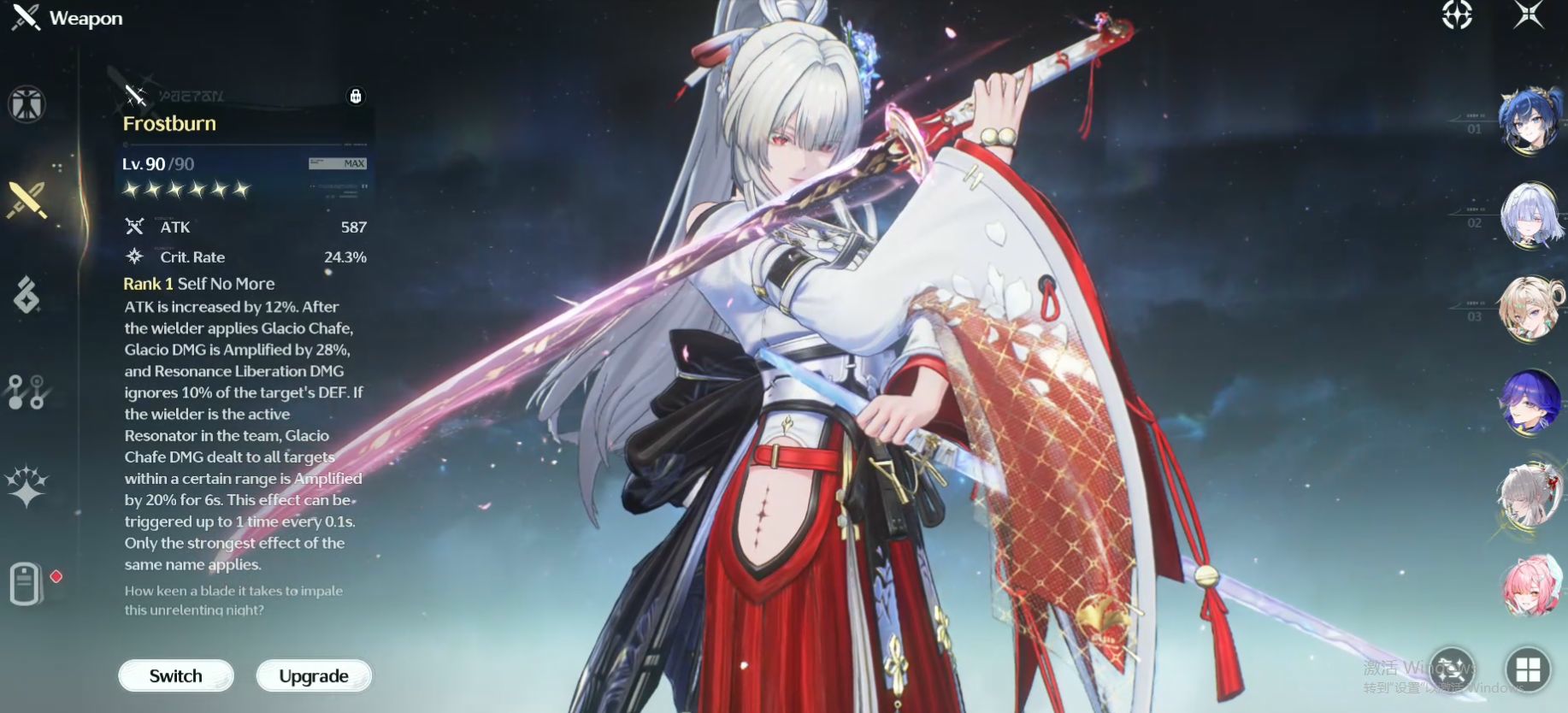 Wuthering Waves Character Build 