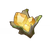 Sprout Node of Life